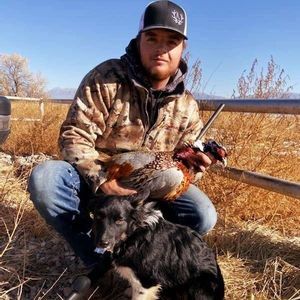 Meet your Posher, Joshua david